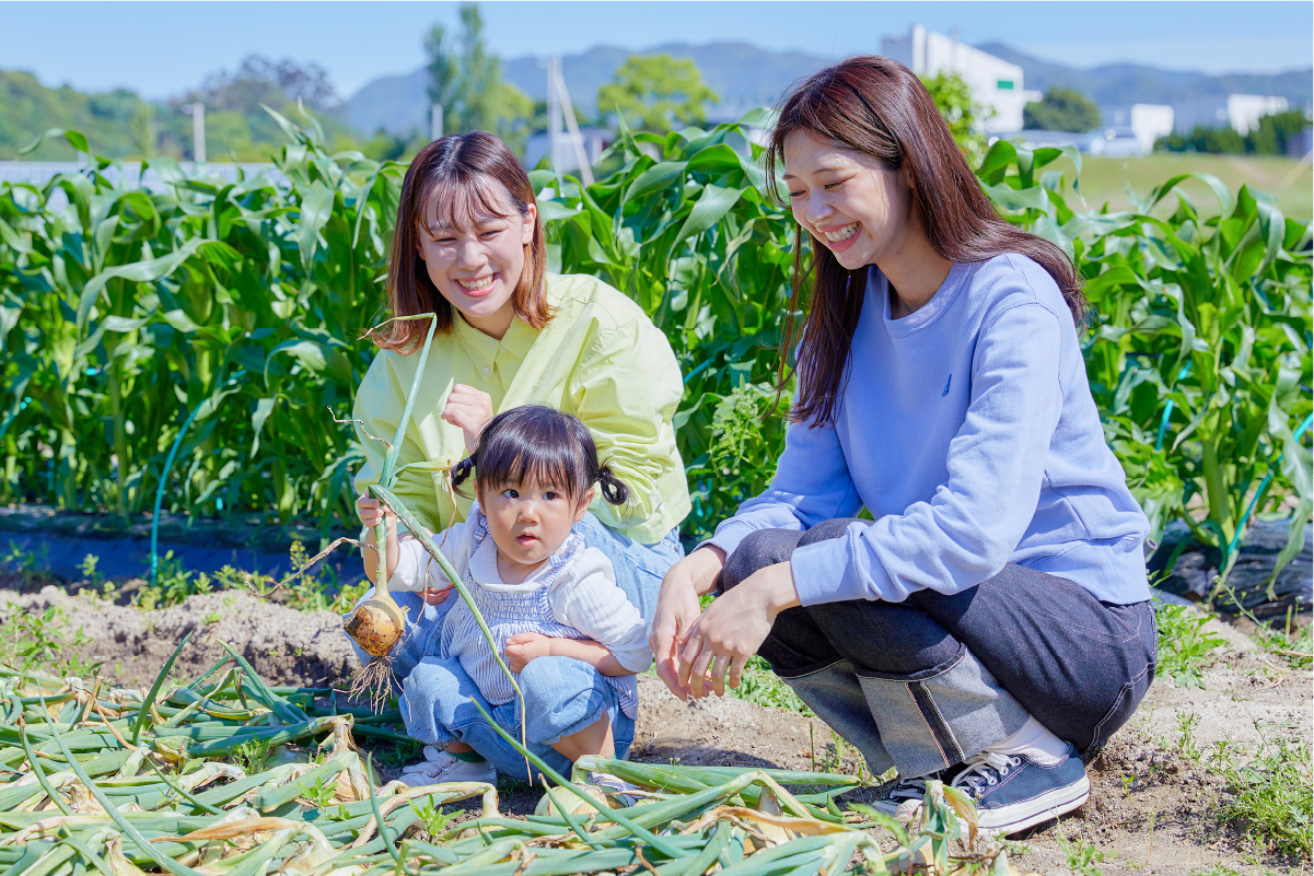 野菜の収穫体験