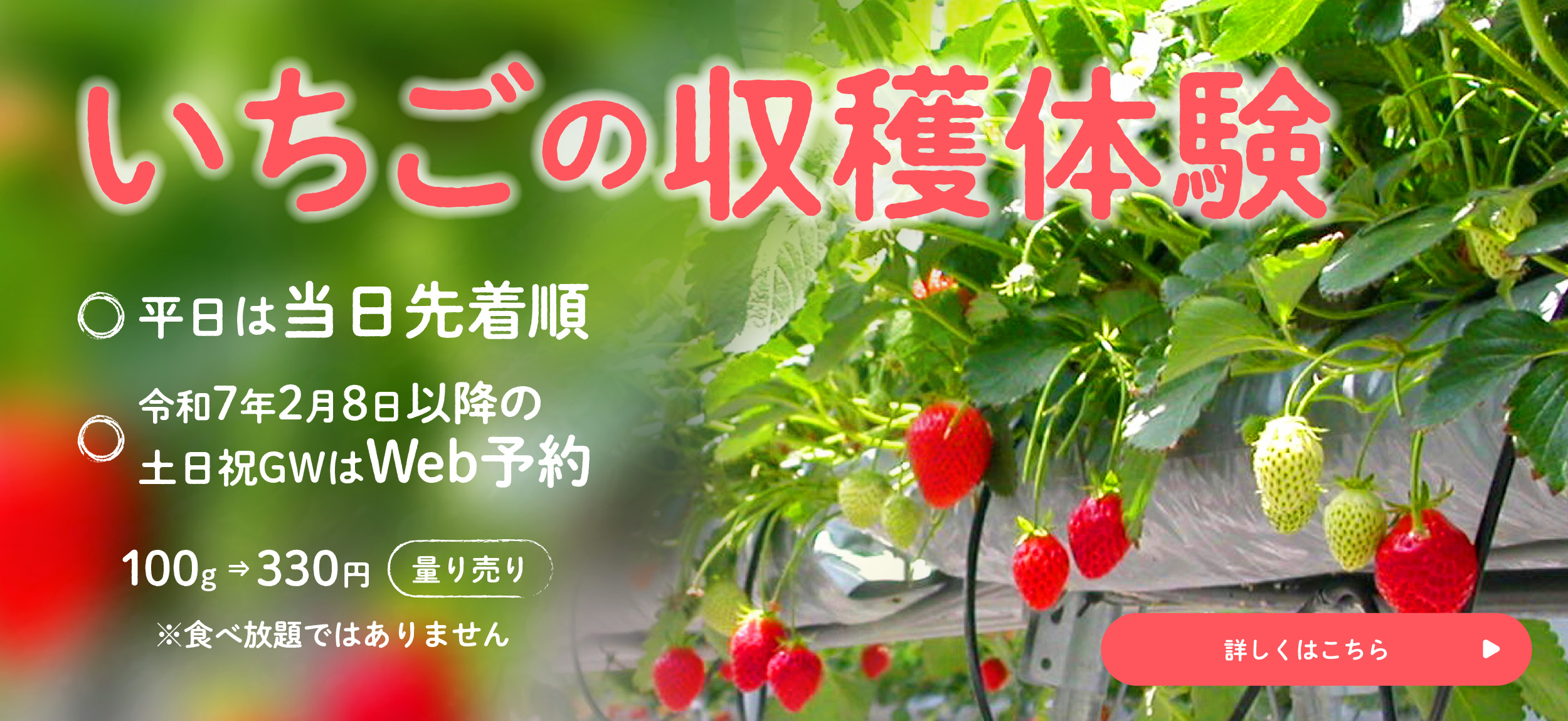 いちごバナー