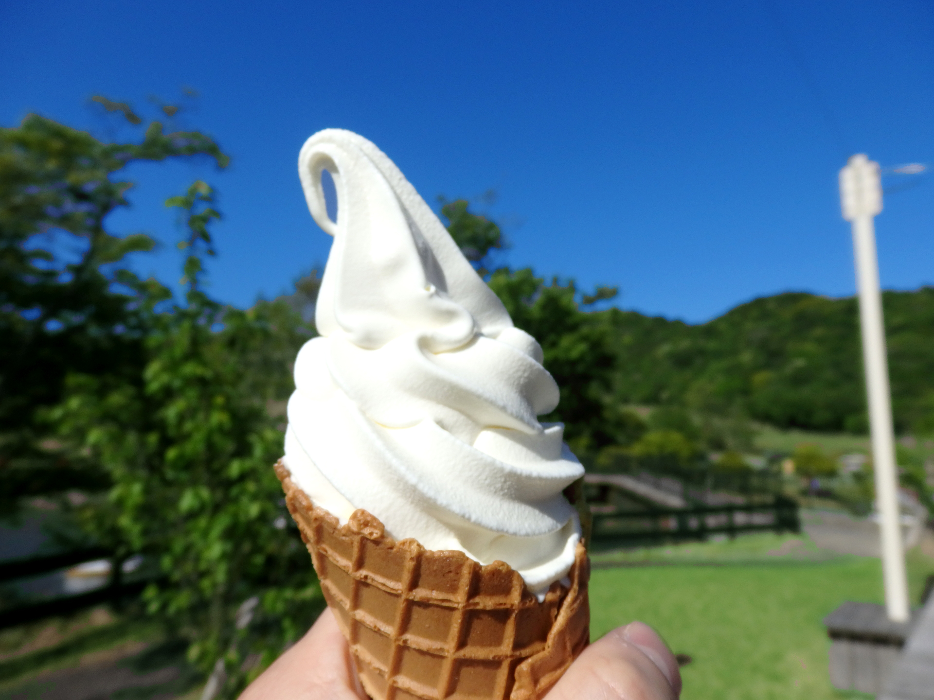 淡路島牛乳ソフトクリーム