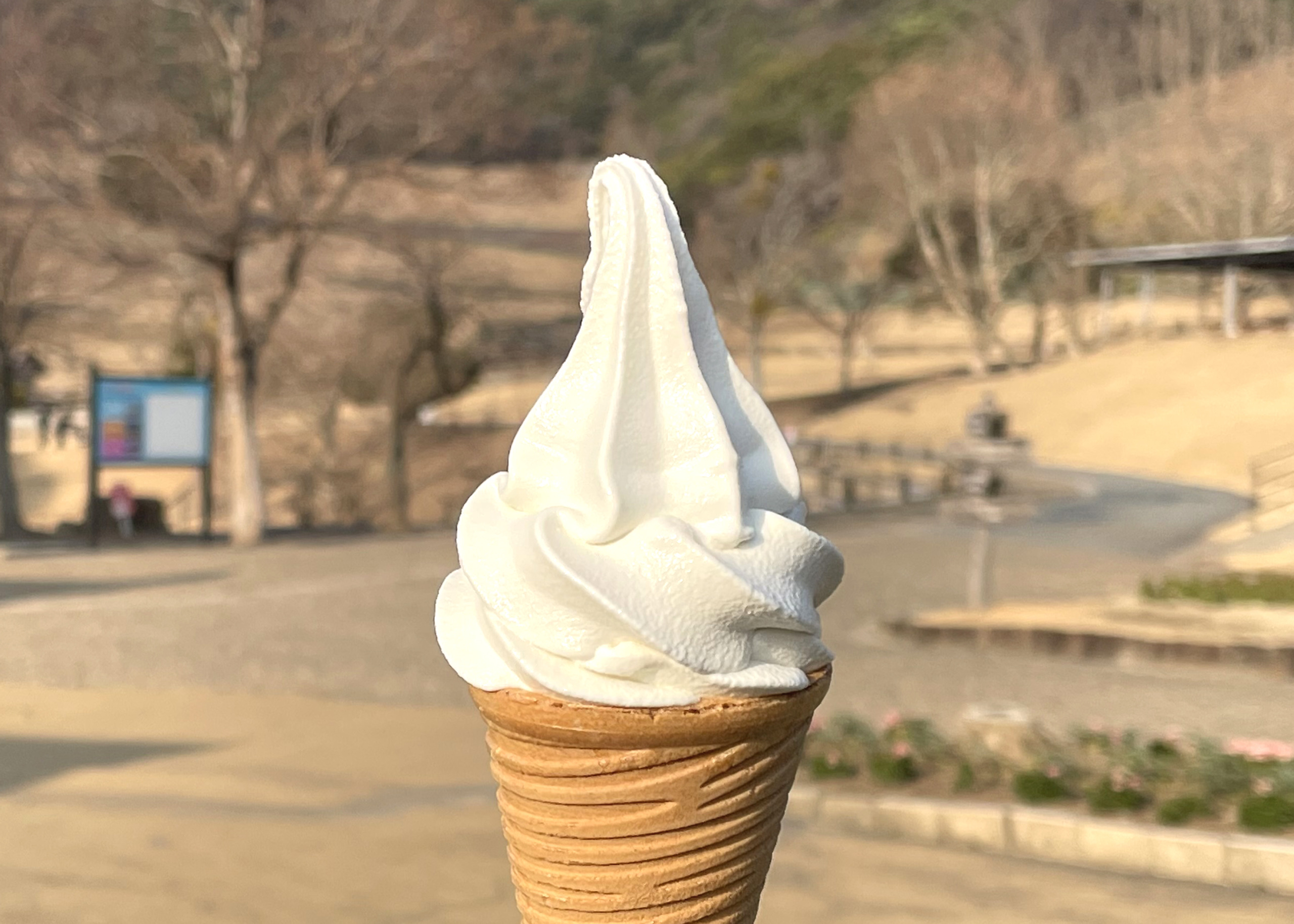 淡路島牛乳ソフトクリーム