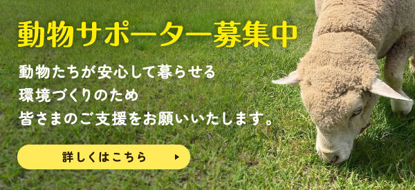 動物サポーター募集中