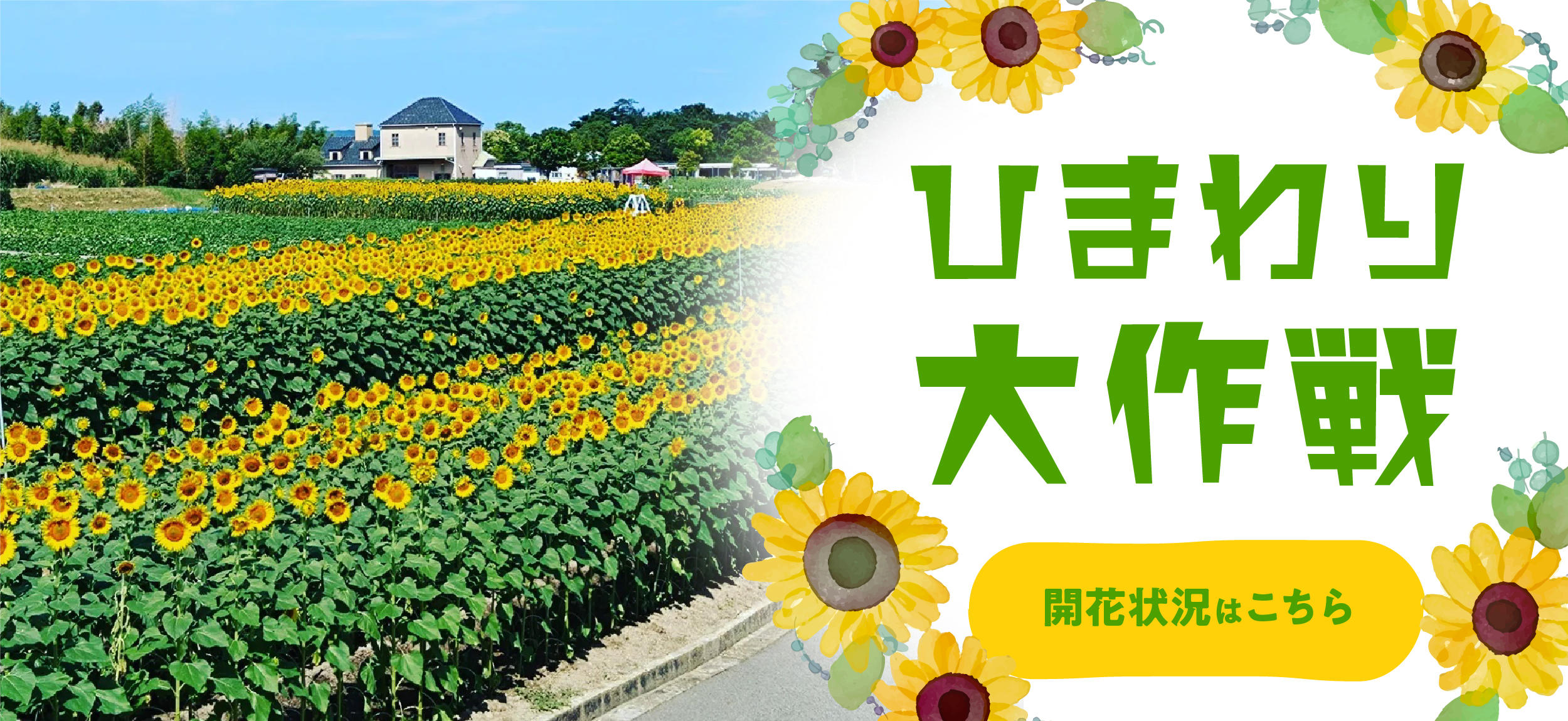 ひまわり大作戦