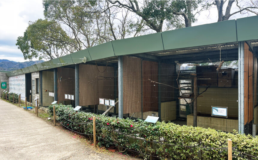 いろトリドリ舎