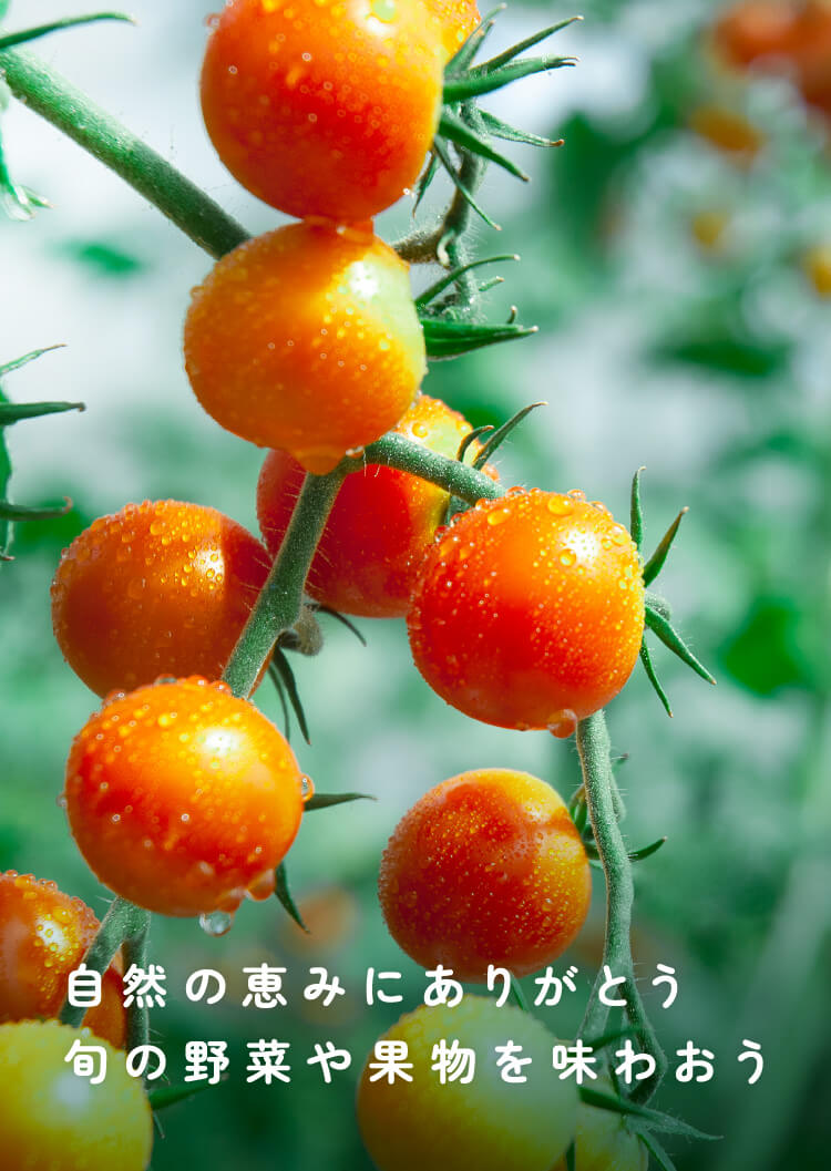 自然の恵みにありがとう 旬の野菜や果物を味わおう