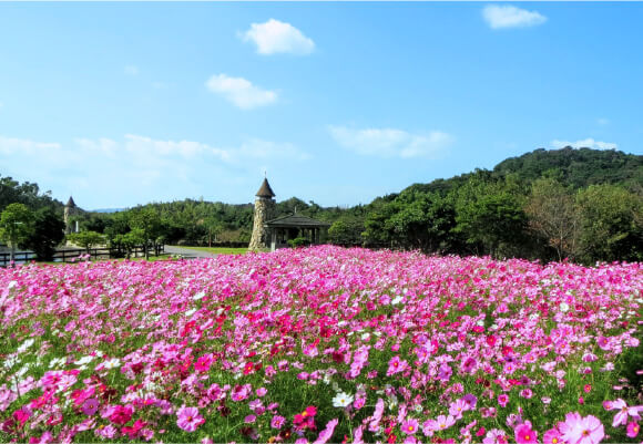 モニュメントお花畑