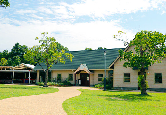 ラビットワーレン