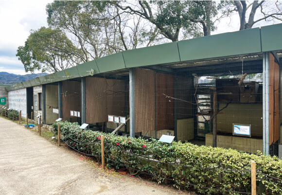 いろトリドリ舎