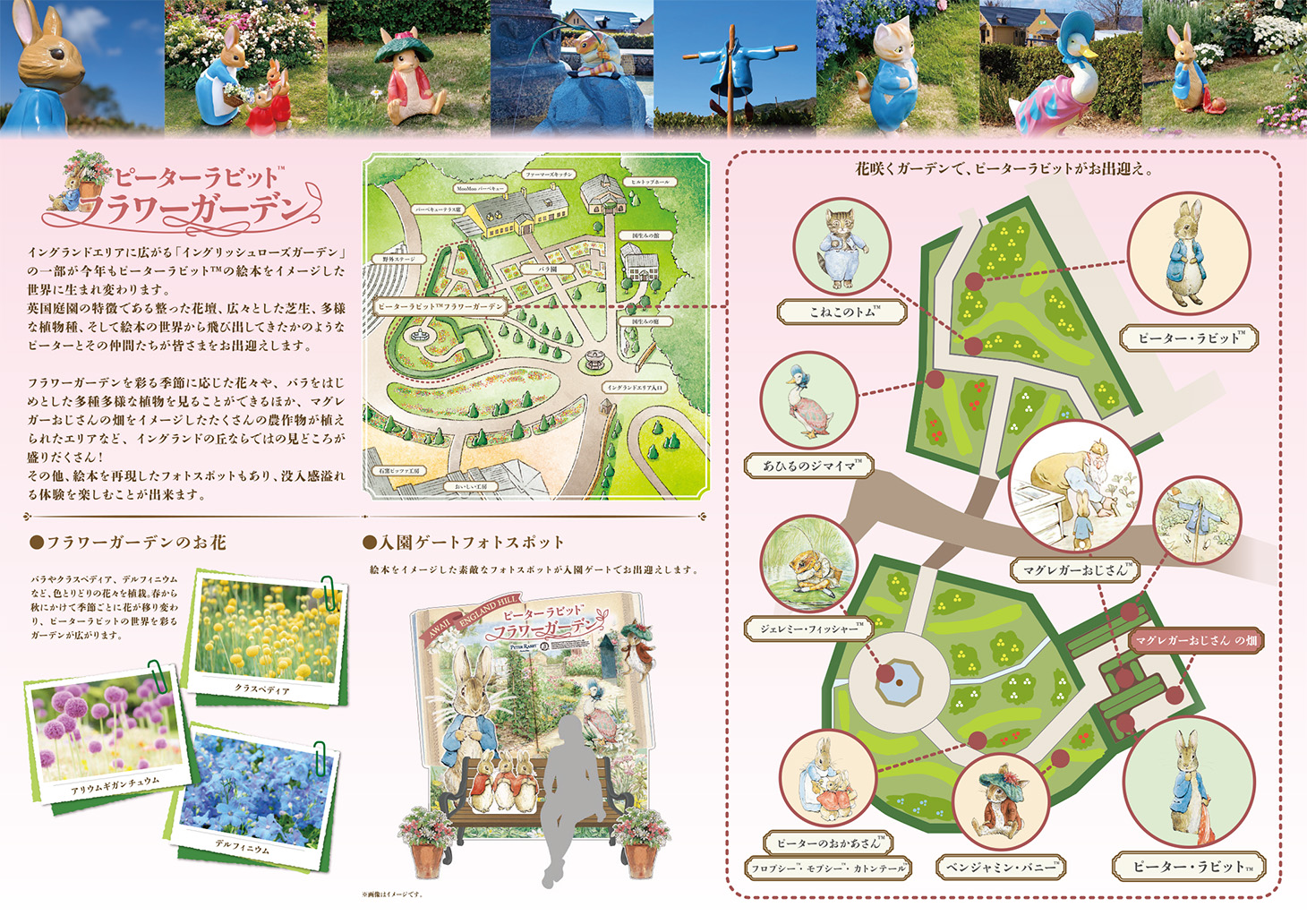 ピーターラビットフラワーガーデン　パンフレット