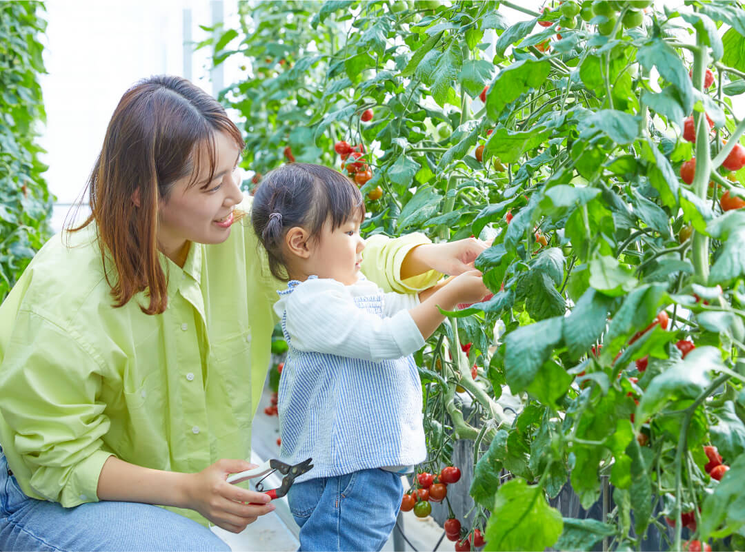やさい畑・温室